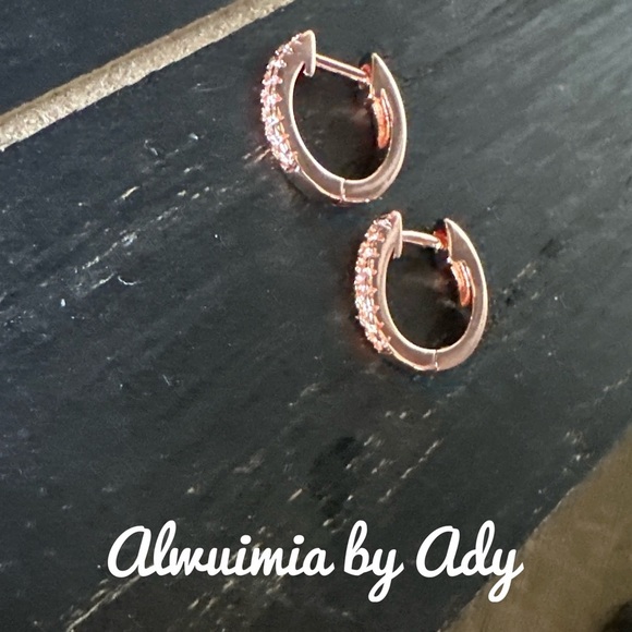 Rose Gold Hoop Earrings - Picture 1 of 1